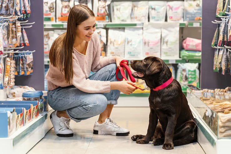 Understanding Your Pet’s Needs: A Guide to Choosing the Right Supplies