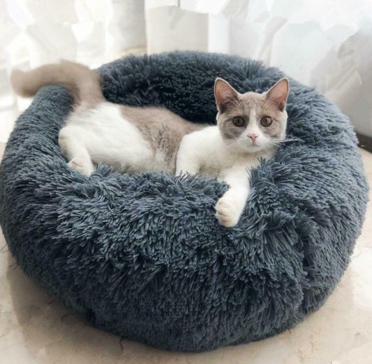 Round Beds For Small Dogs and Cats