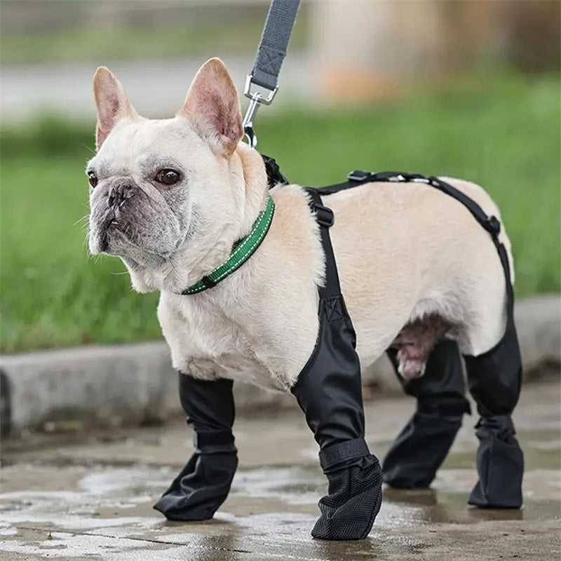 Waterproof Dog Shoes For Outdoor Walking