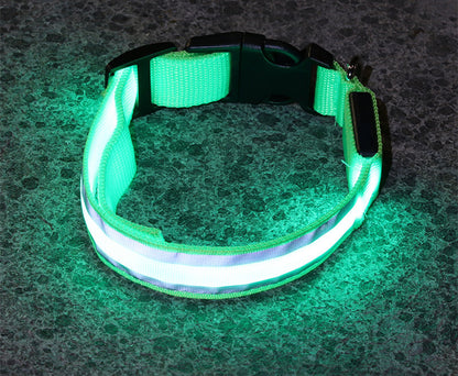 Anti-lost Led Dog Collar