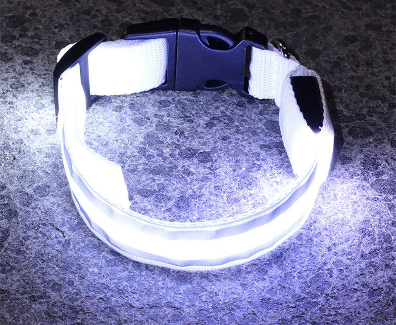 Anti-lost Led Dog Collar