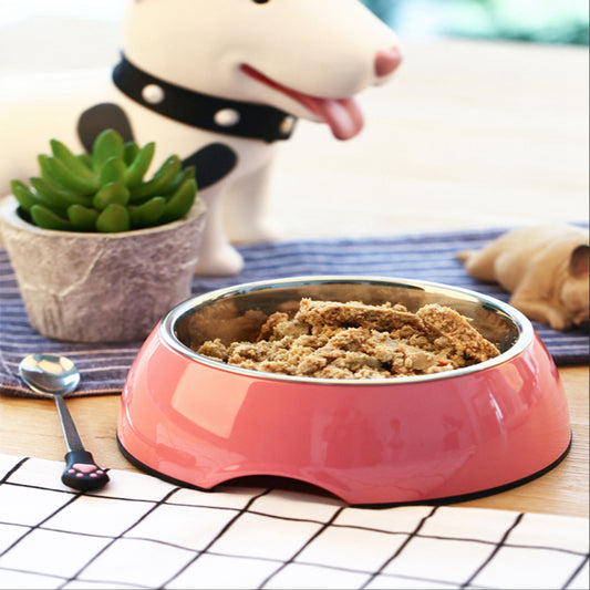 Dog & Cat Food Bowl