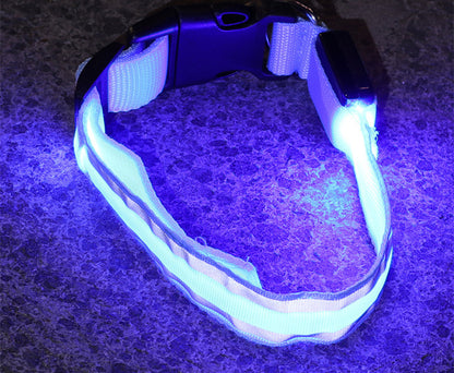 Anti-lost Led Dog Collar